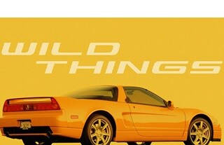 1990 yellow NSX under the words “Wild Things”.